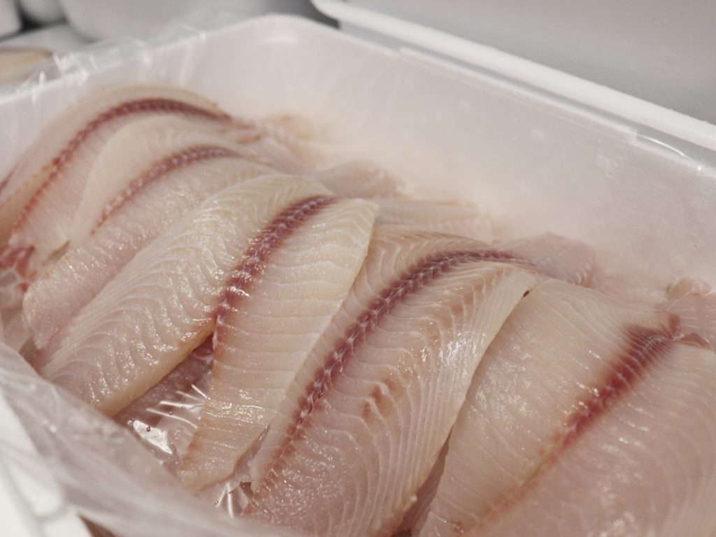 Tilapia en Filete Tipo Exportación Tilapia tipo exportación